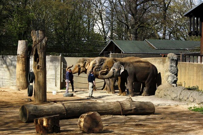 Karlsruhe Walking Tour - Visiting the State Museum of Natural History Karlsruhe
