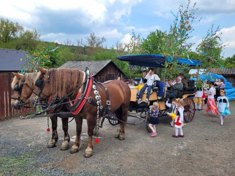 Karltejn castle by horse carriage - Key Points