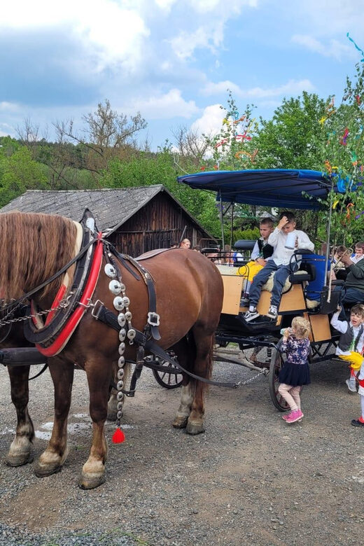 Karltejn castle by horse carriage - What Makes This Tour Stand Out