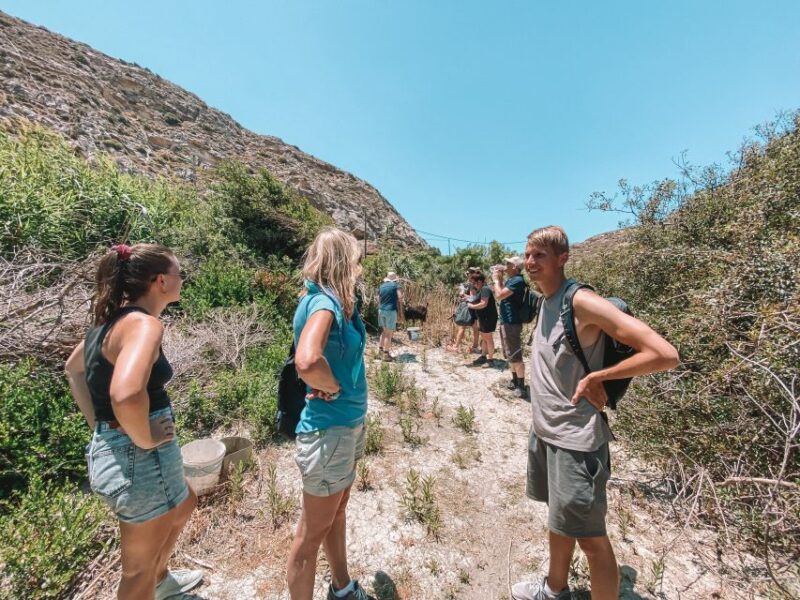 Karpathos: Easy Guided Nature and Culture Hike in Pigadia - What’s Included and What You Should Bring