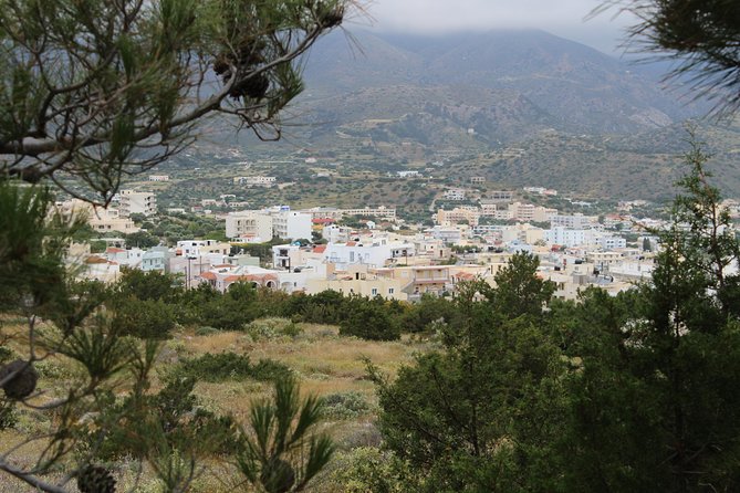 Karpathos scenic Agia Kyriaki Walk from Pigadia - Navigating the Pine Forest and Eastern Coast Views