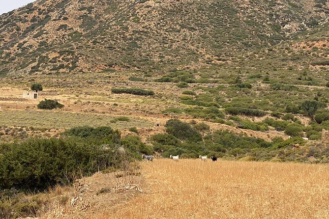 Karpathos: Traditional Olympos Tour with Driver Guide - Optional Lunch with Local Makarounes