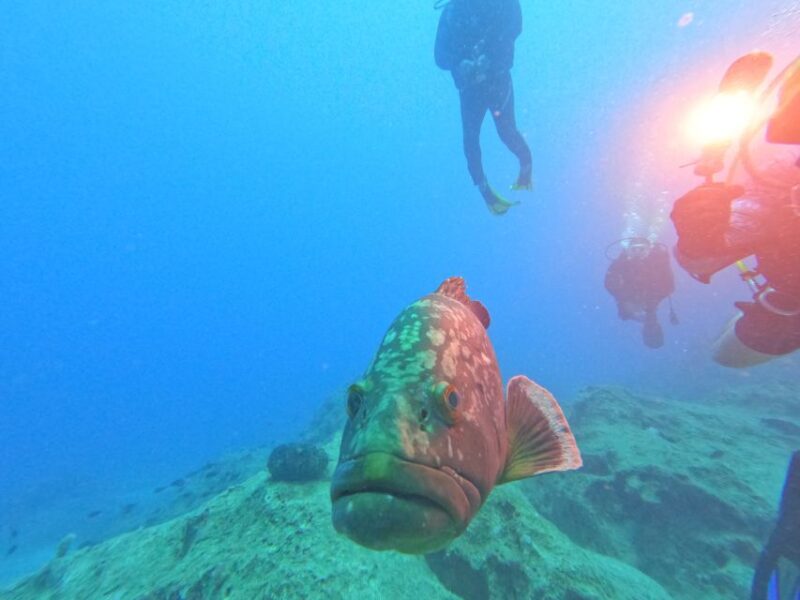 Kas: Scuba Diving Experience - Exploring Additional Underwater Features for Advanced Divers