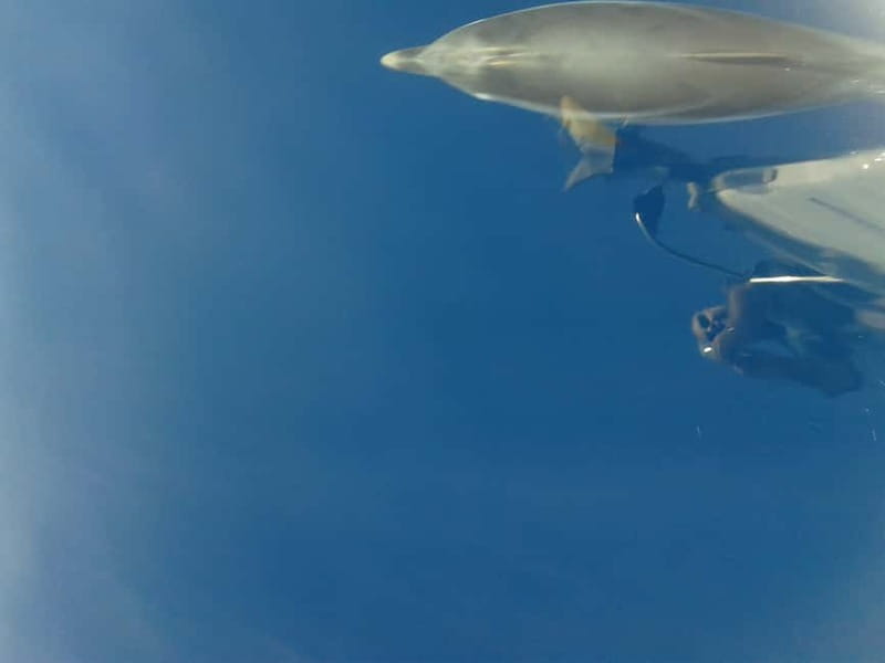 Kassandra: West Sithonia Coves and Islets Sailboat Tour - Practical Details: Meeting Points, Weather, and What to Bring