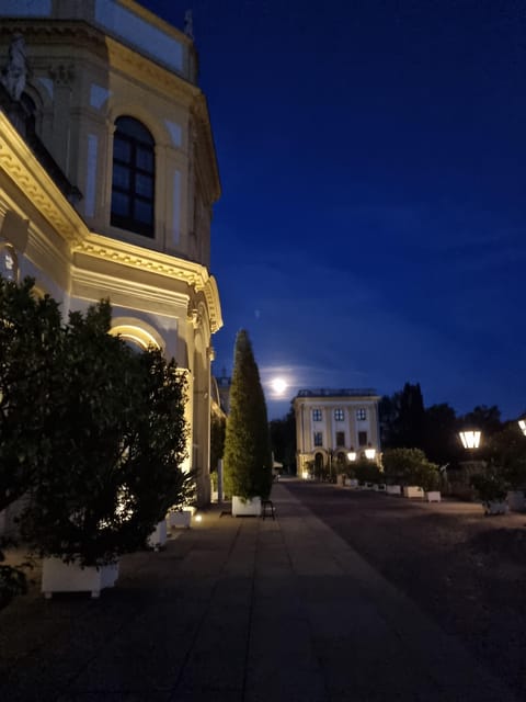 Kassel: Kassel's lost city by night - Why This Tour Offers a Unique Nighttime Perspective