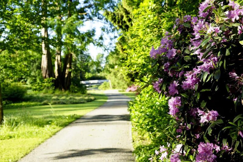 Kassel: Ready for the island?! Karlsaue and Siebenbergen in the scent of spring - Discover the Green Heart of Kassel: Karlsaue and Siebenbergen