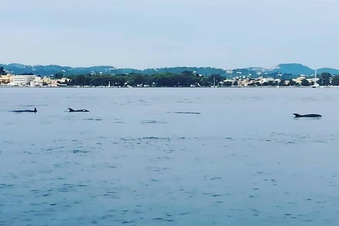 Kassiopi Private Daily Sailing Yacht Cruise - Flexible Lunch Options and Onboard Snacks