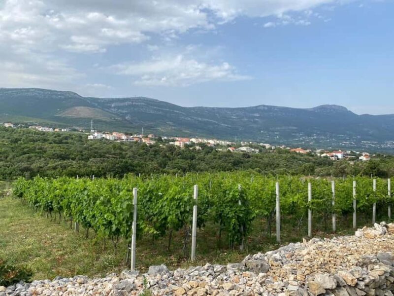 Kastela: Wine & Olive Tasting Tour w/Delicacies & Live Music - Discover an Authentic Family-Owned Farm in Kastela for Wine and Olive Oil Tasting
