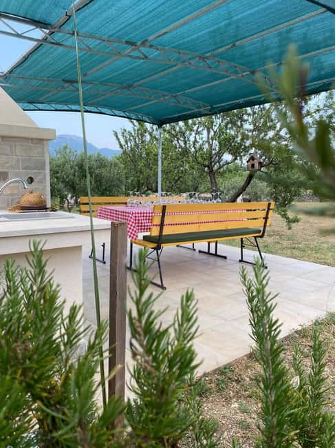 Kastela: Wine & Olive Tasting Tour w/Delicacies & Live Music - Sampling Dalmatian Delicacies Under the Pergola