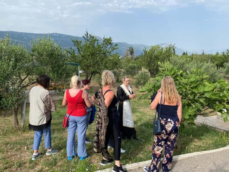 Kastela: Wine & Olive Tasting Tour w/Delicacies & Live Music - Kastela: Wine & Olive Tasting Tour with Delicacies & Live Music – Final Thoughts