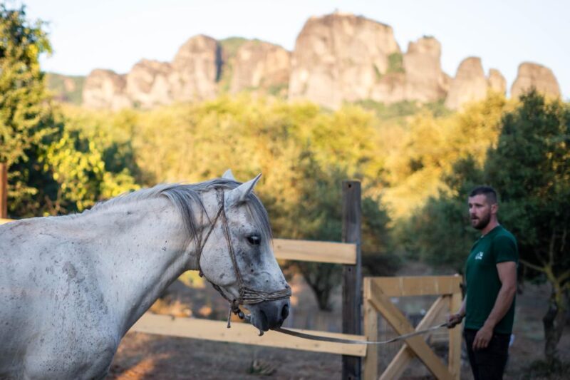 Kastraki: Meteora Morning Horse Riding with Monastery Visit - Who Should Consider This Tour?