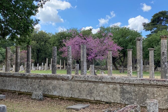 Katakolon 7hour tour : Olympia-Honey Farm-Winery-Beach - Olive Oil and Wine at Agriturismo Magna Grecia