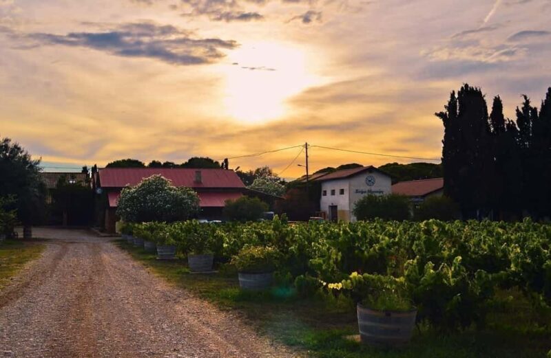 Katakolon: Olympia & Kaiafa Beach Tour with Photos - The Sum Up: A Compact and Personal Greek Day Trip