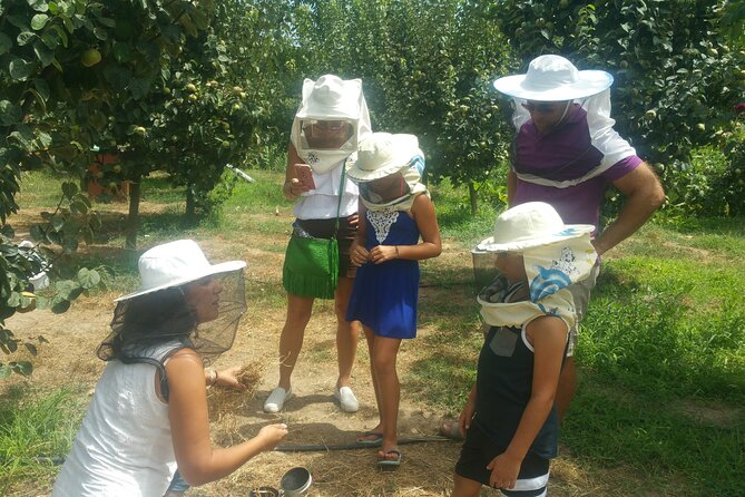 Katakolon Shore Excursion: Olympic site, Honey/Olive Oil Tasting - Honey and Local Delicacies at Klios Honey Farm