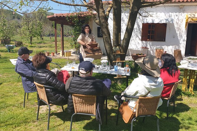 Katakolon Shore Excursion: Olympic site, Honey/Olive Oil Tasting - Practical Details and Booking Tips