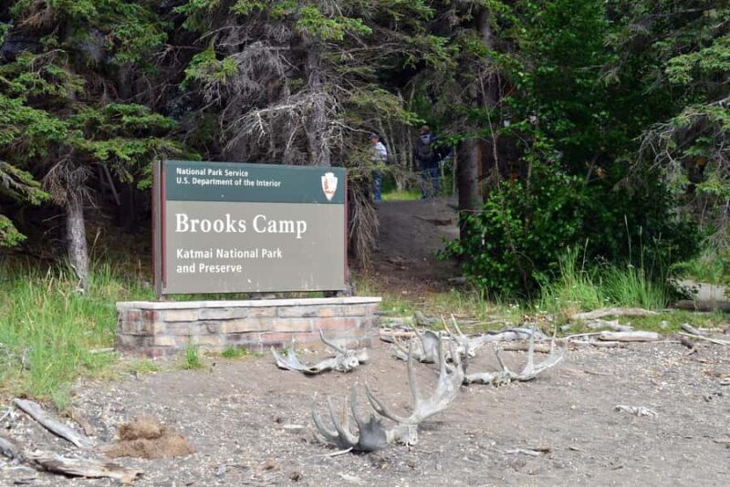 Katmai Alaska: Brooks Falls Bear Viewing by Floatplane - The safety and environmental focus of the experience