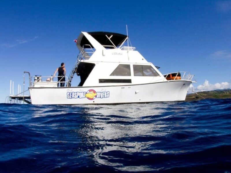 Kauai: 2 Tank Afternoon Dive - Why Choose This Kauai Dive Adventure