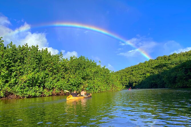 Kauai Adventure: Kayak & Hike to Secret Falls with Expert Guide - Tips for a Successful Trip