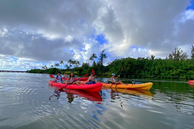 Kauai Adventure: Kayak & Hike to Secret Falls with Expert Guide - Final Thoughts on the Kauai Kayak & Hike Tour