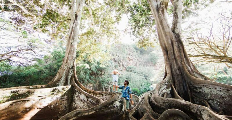 Kauai: Allerton Garden Guided Group Walking Tour - Key Points