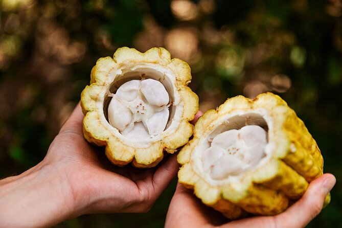 Kauai Chocolate Farm Tasting Tour - Practical Details for Visitors