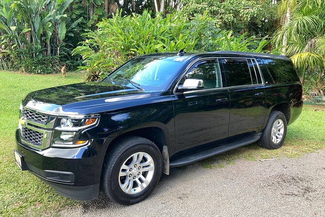 Kauai Cruise Ship Roundtrip Excurision Transfers - Convenient Pickup at Kauais Nawiliwili Cruise Pier