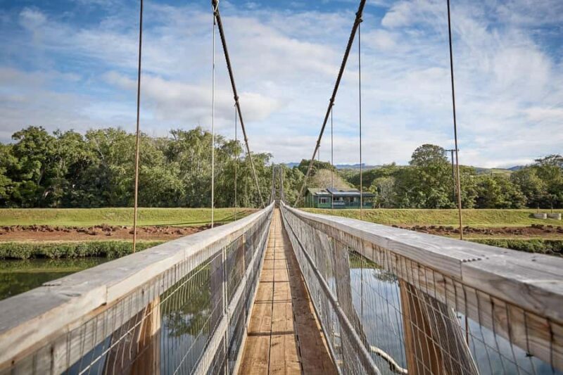 Kauai Day-Tour: Kalalau, Waimea, Poipu, Cruise or Airport PU - Explore Kauai with a 7-Hour Small-Group Tour Covering Iconic Sights