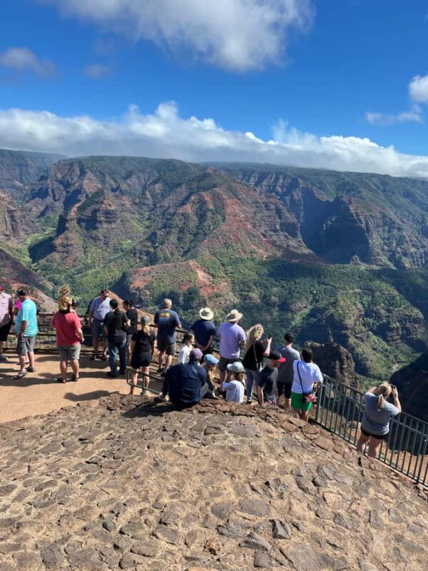 Kauai Day-Tour: Kalalau, Waimea, Poipu, Cruise or Airport PU - Key Points