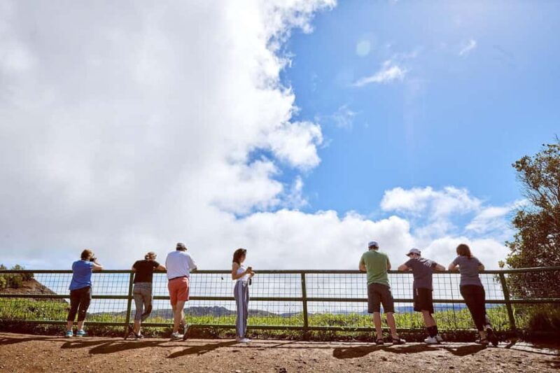 Kauai Day-Tour: Kalalau, Waimea, Poipu, Cruise or Airport PU - Logistics and Group Size: Hassle-Free Transfers and Intimate Experience