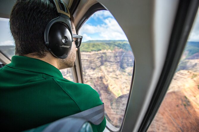 Kauai Deluxe Waterfall Safari: Helicopter Tour - Who Will Love This Tour