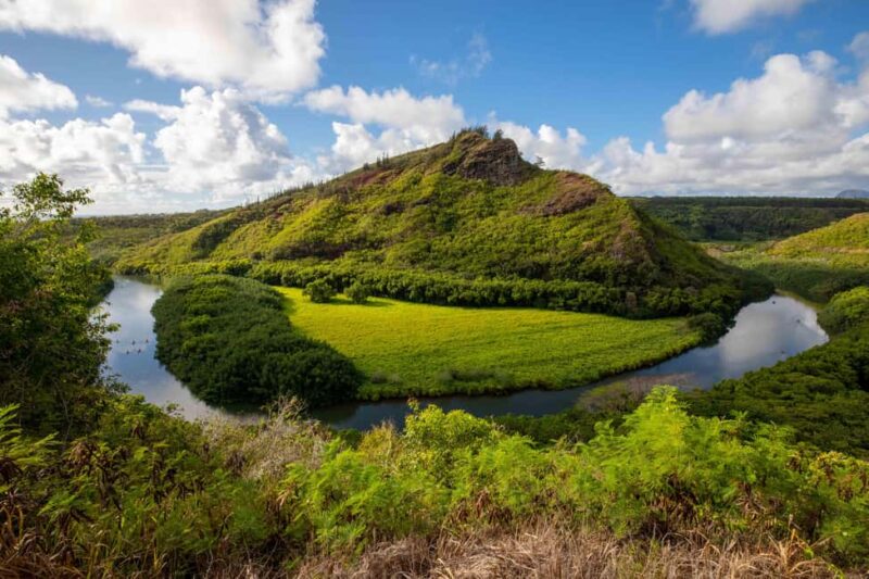 Kauai East Side and North Shore: Waterfalls & Beaches Tour - Scenic Lookouts: Hanalei Valley and Kalihiwai