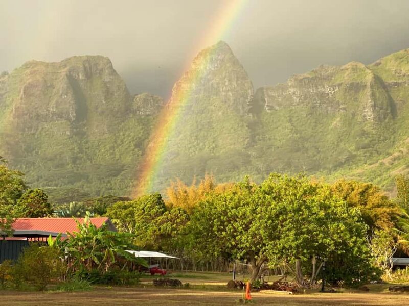 Kauai East Side and North Shore: Waterfalls & Beaches Tour - Logistics and Comfort: Pickup, Transport, and Group Size