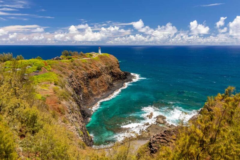 Kauai East Side and North Shore: Waterfalls & Beaches Tour - Why This Tour Is a Good Fit for You