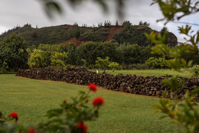 Kauai East Side SHARED Adventute - Scenic Beauty of Lydgate Beach Park and Hikinaakal Heiau