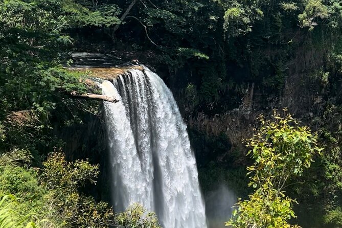 Kauai Eastside & Waterfalls-Shared Small Group Tour - Key Points