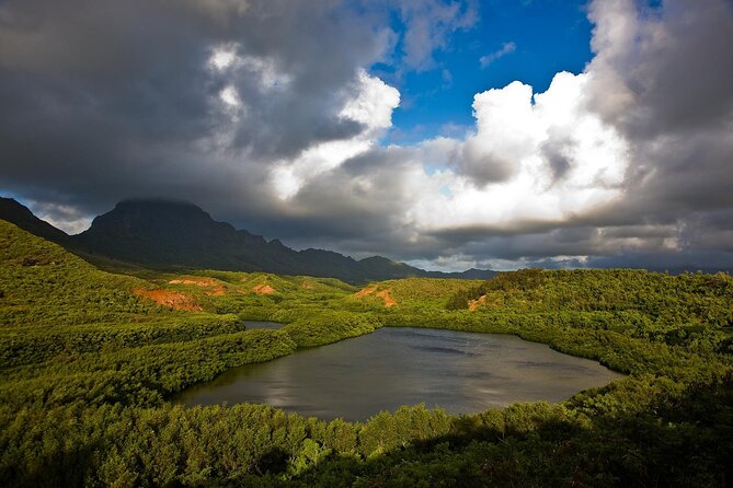 Kauai Eastside & Waterfalls-Shared Small Group Tour - Stroll the Scenic Path at Lydgate Beach Park