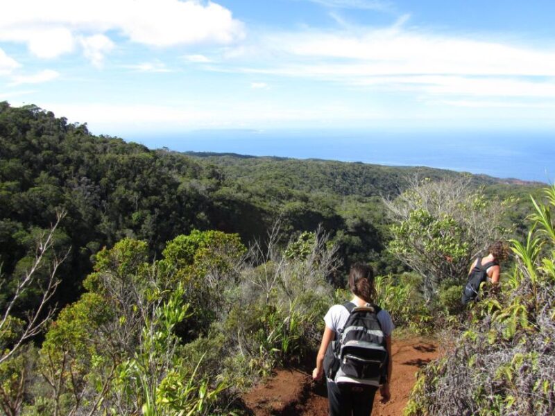Kauai: Full-Day Kauai Adventure - Explore the Best of Kauai in a Full-Day Private Adventure