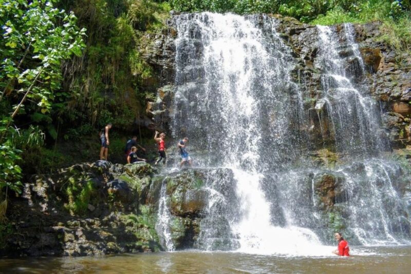 Kauai: Guided Hike and Waterfall Swim - Starting Point on Hulemalu Road with Easy Directions
