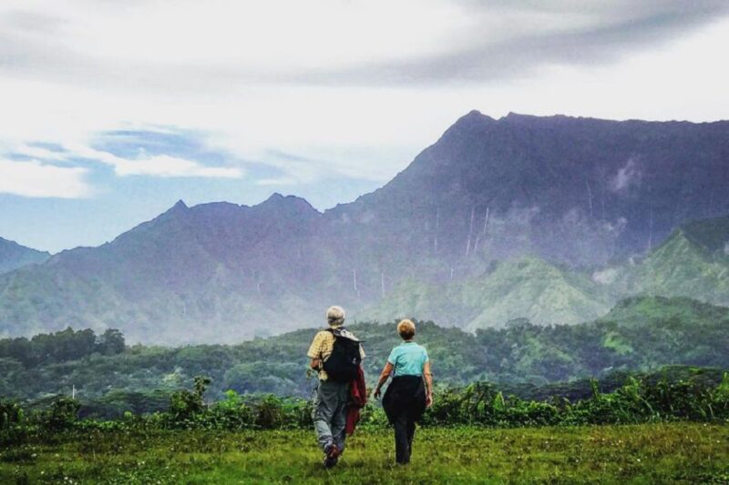 Kauai: Half-Day Kauai Adventure - Personalized Kauai Hiking or Driving Experience