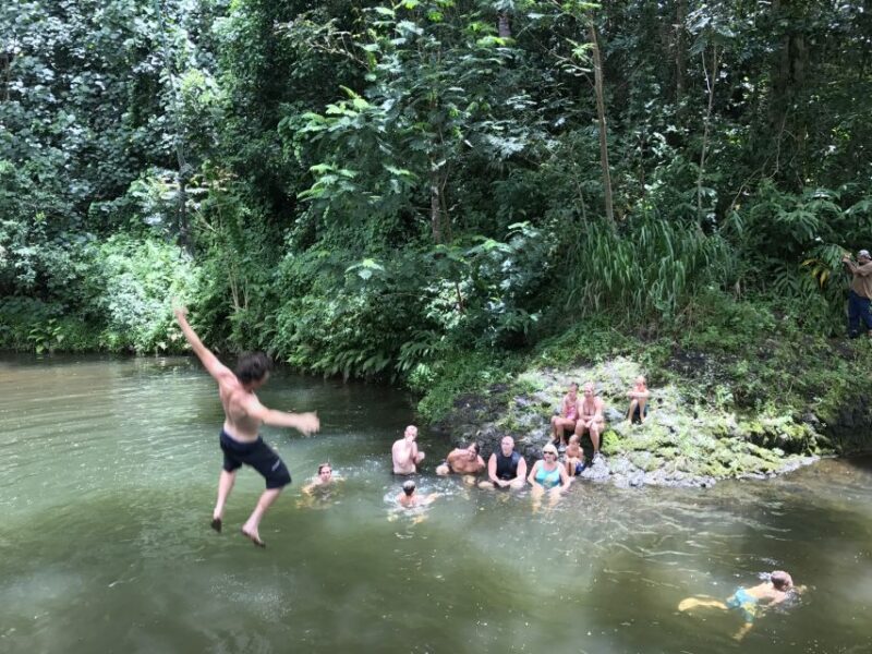 Kauai: Half-Day Kauai Adventure - What to Expect on Your Kauai Adventure