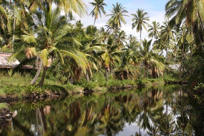 Kauai: Hawaii Movie Tour - The Jungle and Town Stops: Movie Sets and Scenic Views