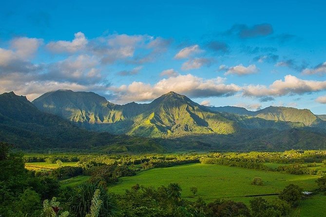 Kauai Highlights & Movie Sites - The Tour Starts with a Sweet Introduction at Lydgate Farms