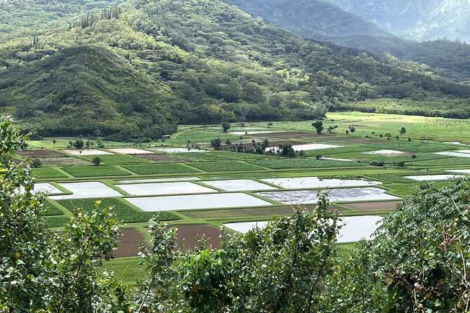 Kauai Island Private Guided Movie Tour from Lihue - Maniniholo Dry Cave and Its Movie Connections
