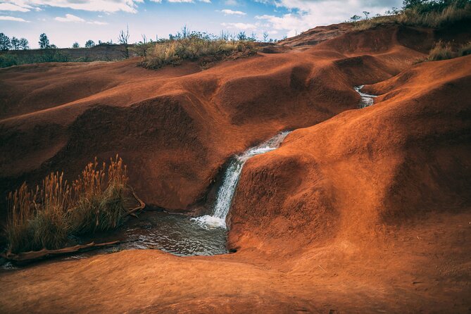 Kauai Island Private Guided Tour-Waimea Canyon from Lihue/Kapaa - Learn About Kauai Coffee at the Islands Largest Plantation