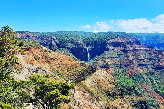 Kauai Island Private Guided Tour-Waimea Canyon from Poipu/Koloa - Kauai Coffee Company: Sampling the Island’s Largest Coffee Plantation