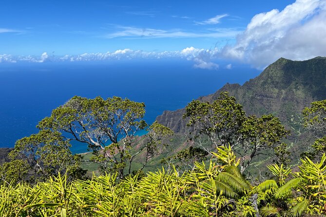Kauai Island Private Guided Tour-Waimea Canyon from Poipu/Koloa - Who Will Appreciate This Tour Most?