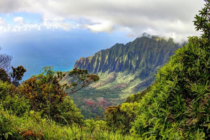 Kauai Island Private Guided Tour-Waimea Canyon from Princeville - Discover Kauai’s Natural Wonders in Style with a Private Guided Tour