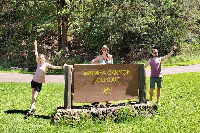 Kauai Island Private Guided Tour-Waimea Canyon from Princeville - Key Points