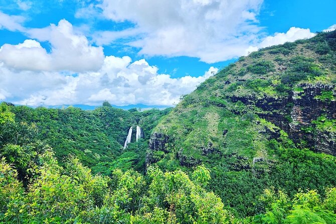 Kauai Island Private Guided Tour-Waimea Canyon from Princeville - Marvel at Opaekaa Falls’ Natural Beauty