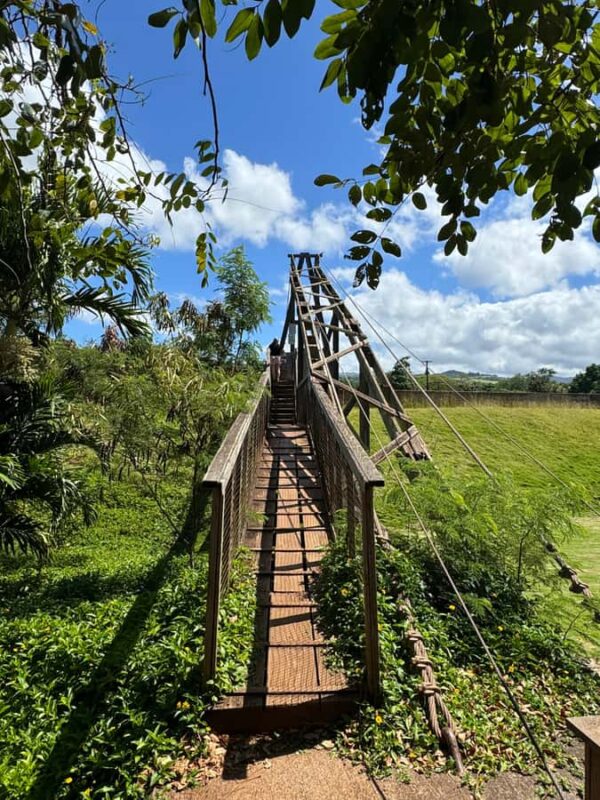 Kauai - Journey to Waimea Canyon, Spouting Horn & More - Key Points